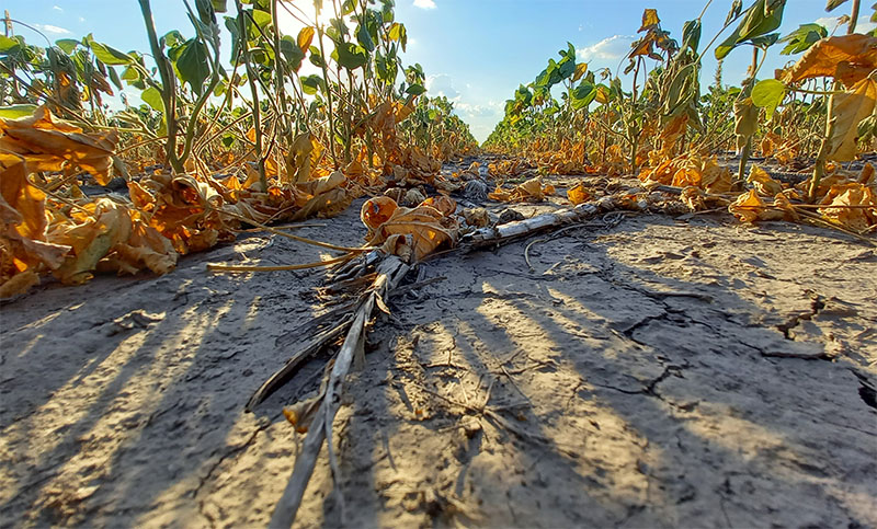 Santa Fe asistió a más de 800 pequeños productores del norte provincial afectados por la sequía