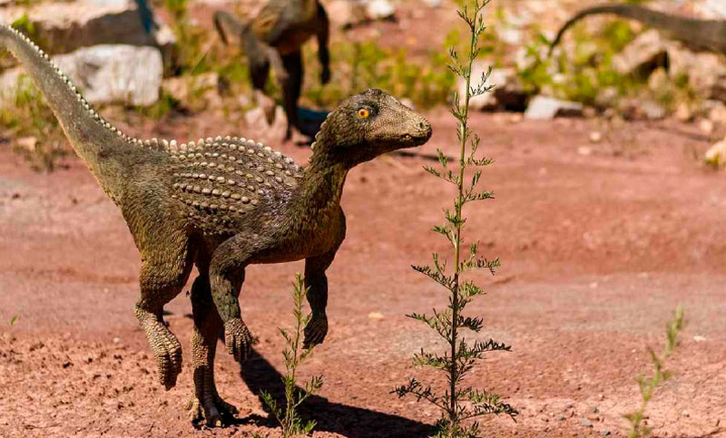 Dinosaurios emplumados y megarraptores dominaron la Patagonia chilena
