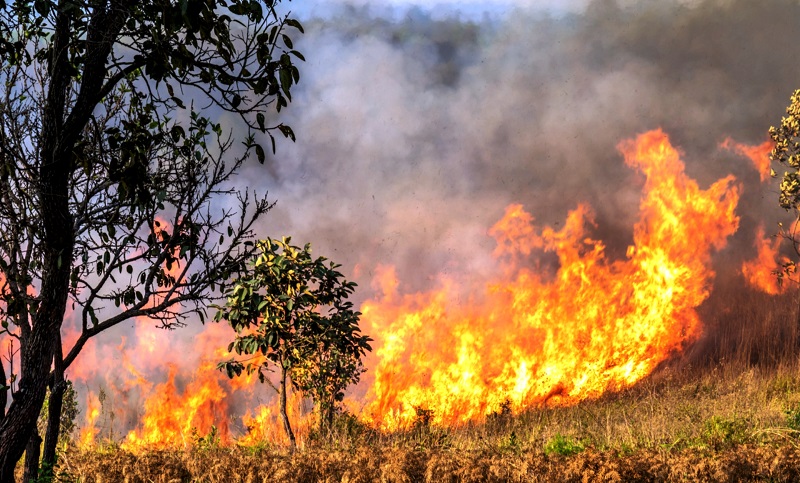 Corrientes, Entre Ríos y Buenos Aires registran incendios activos