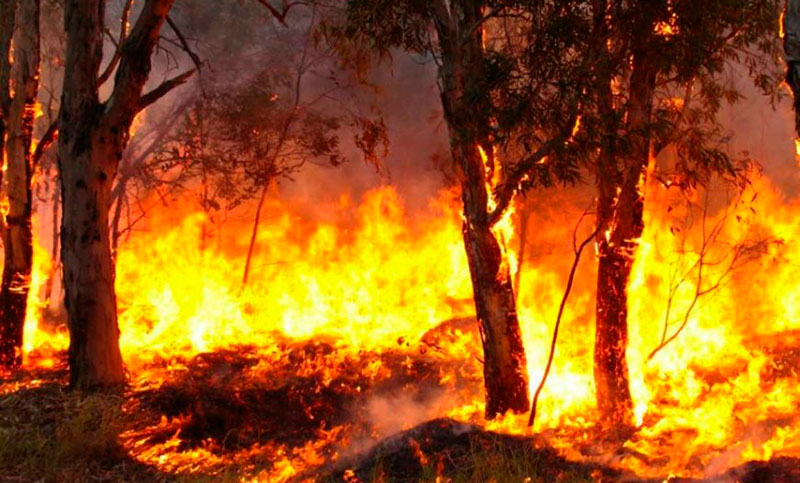 Nueve provincias registran incendios activos: Santa Fe entre ellas
