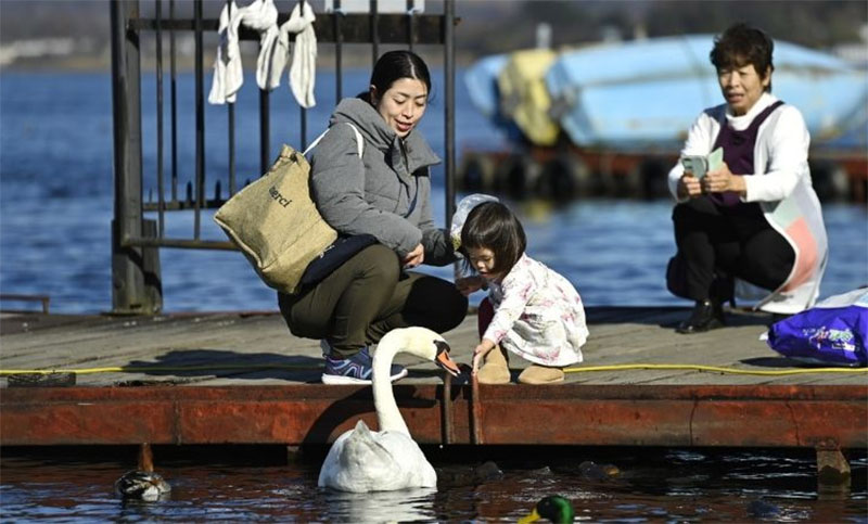 Advierten que Japón «está al límite de poder seguir funcionado como sociedad» por la baja tasa de natalidad
