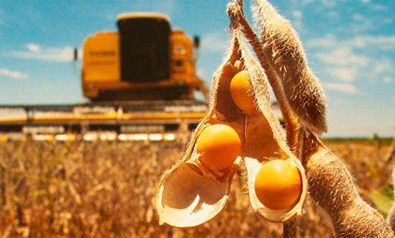 Impulsadas por las subas de precios, las exportaciones de soja y maíz fueron récord en 2022