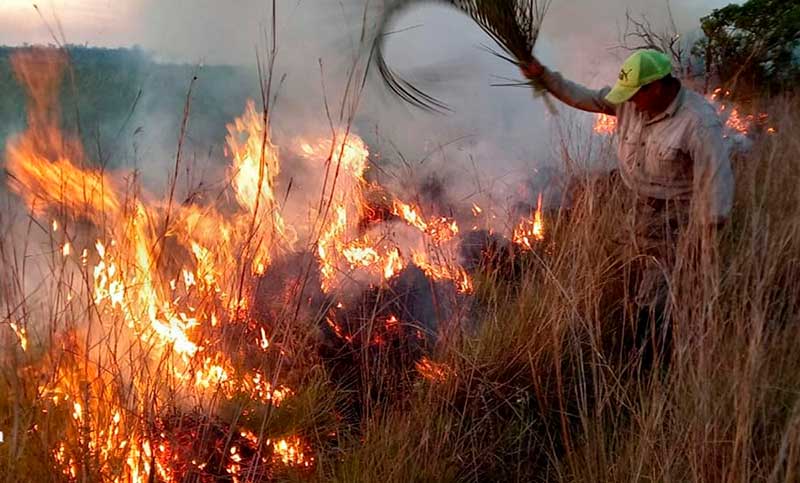 Corrientes registra incendios forestales