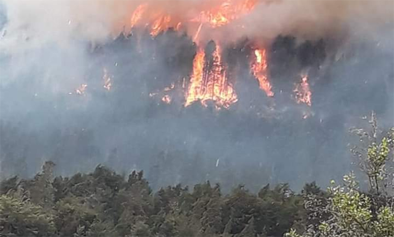 Voraz incendio en El Bolsón ya afectó 220 hectáreas de bosques nativos
