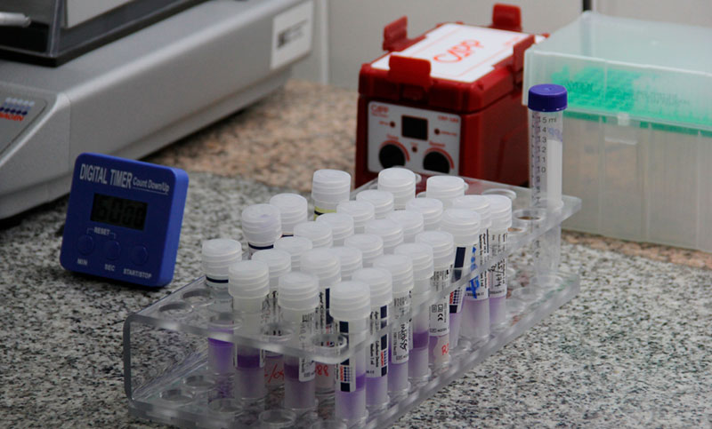 Santa Fe contra el cáncer de cuello uterino: realizan test de VPH en los hospitales públicos