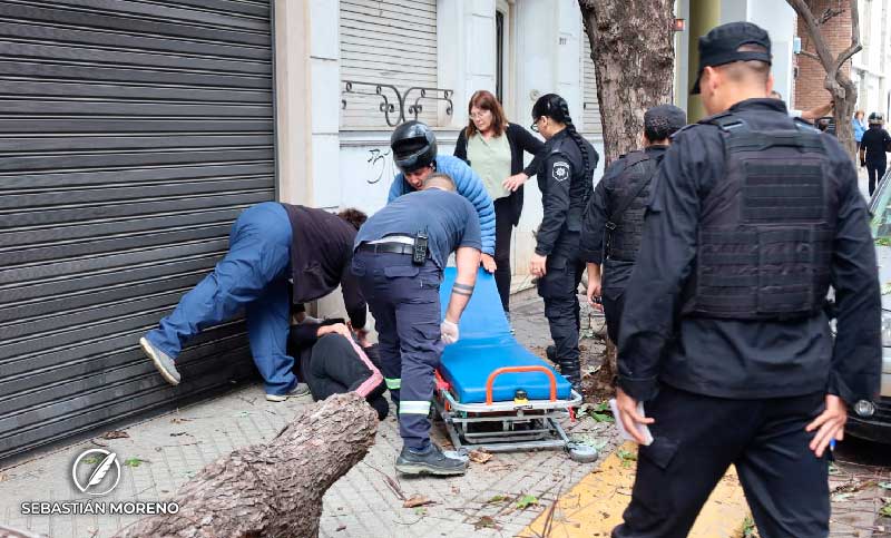 Un árbol de gran tamaño cayó sobre una mujer ocasionándole un fuerte traumatismo