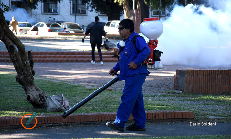 Confirman 7.661 casos de dengue en Santa Fe: el departamento Rosario, entre los más afectados
