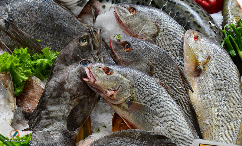 Semana Santa: recomendaciones antes de comprar y consumir pescados