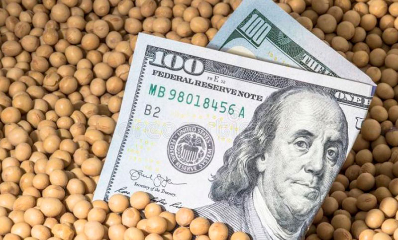A partir del dólar soja 3, el sector agropecuario liquidó divisas por más de US$ 5.000 millones