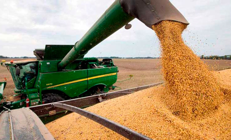 Las exportaciones agroindustriales cayeron 33,3% en el primer cuatrimestre a causa de la sequía