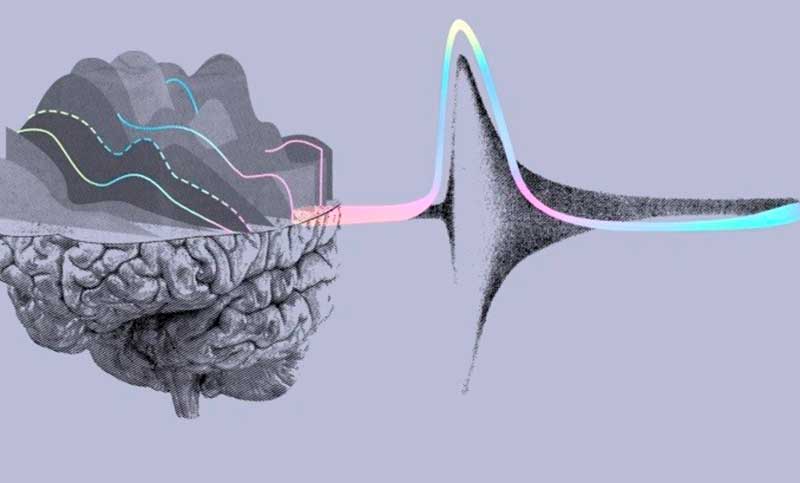FDA aprueba chips cerebrales de Neuralink