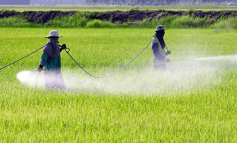 Misiones: productores agropecuarios se oponen a la ley que prohíbe el uso de glifosato