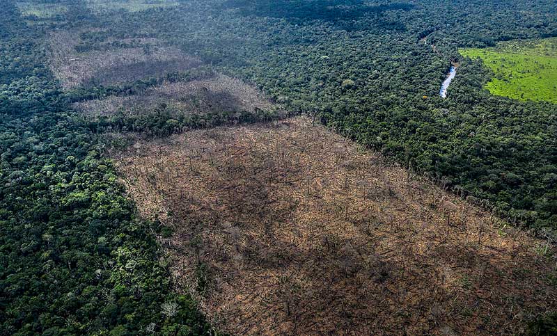 La deforestación en Brasil representó trece veces la ciudad de San Pablo