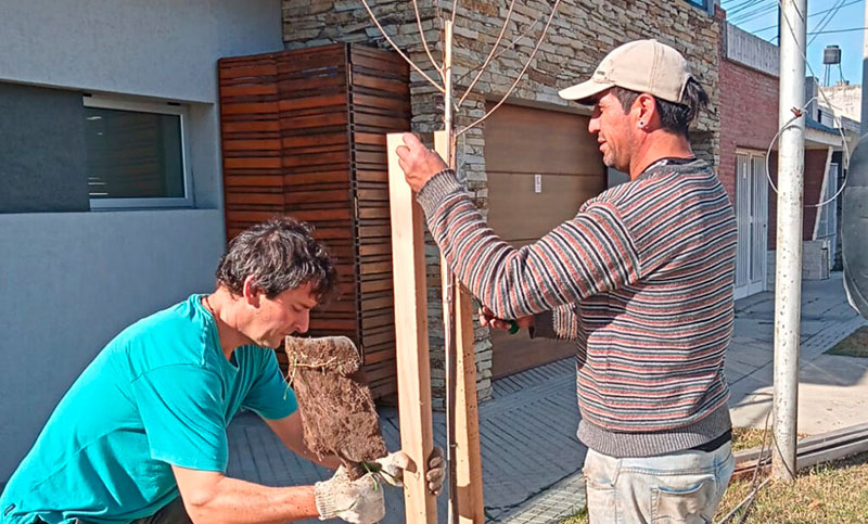 San Lorenzo planta otros mil árboles y apuesta por mitigar el daño ambiental de las quemas