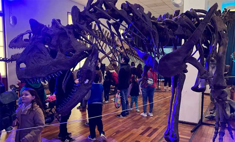 Plan para las vacaciones: llegó a Rosario una exposición de esqueletos de dinosaurios