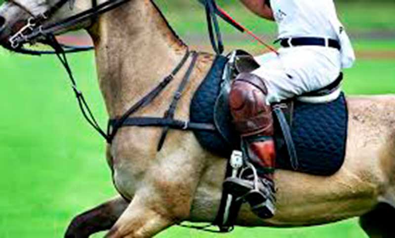 La AFIP detectó una subvaluación de $100 millones en caballos de polo en una firma reconocida