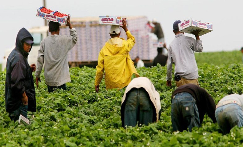 Trabajadores rurales acordaron un aumento salarial y actualización del mínimo y jornal