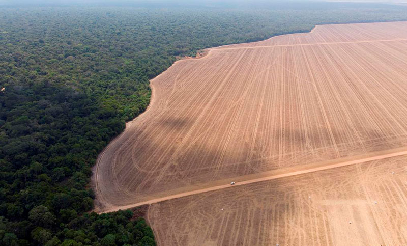 Países amazónicos avanzan decididos a preservar su selva