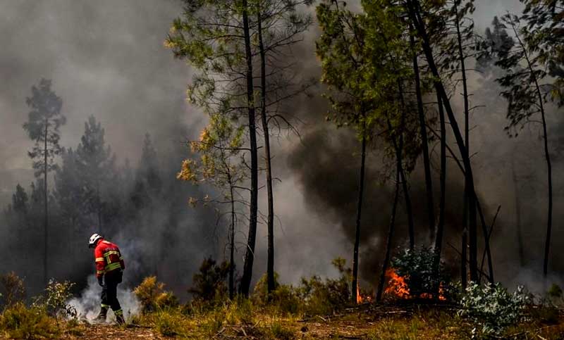 Un incendio dejó once personas heridas y 7.000 hectáreas arrasadas en Portugal