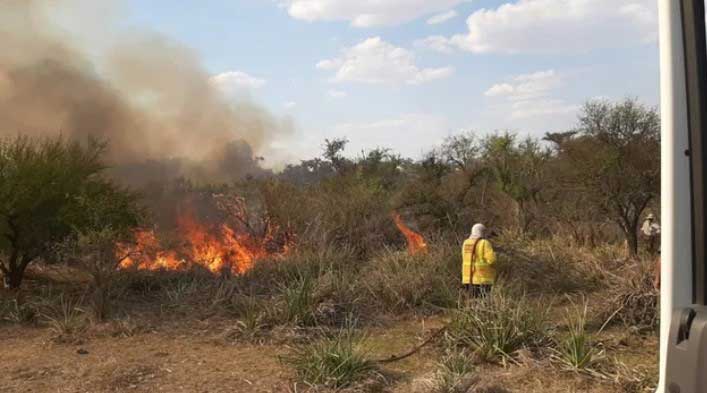 Entre Ríos, Formosa y Chaco registran focos activos de incendios forestales