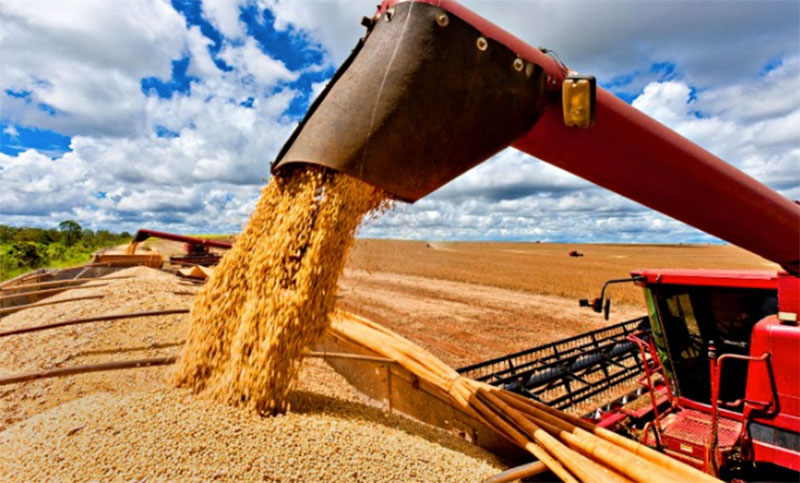 Las exportaciones del agro cayeron 50% en el año y el sector registró pérdidas por US$17.000 millones