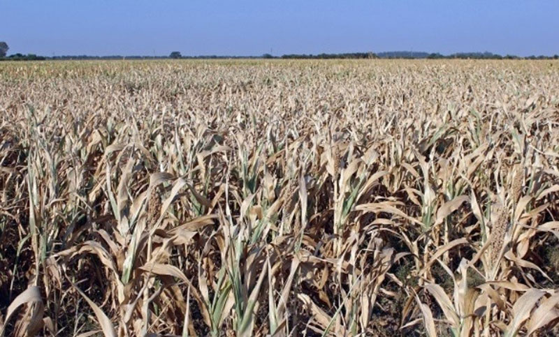 Por la sequía, el Ministerio de Economía extendió la emergencia agropecuaria en Santa Fe