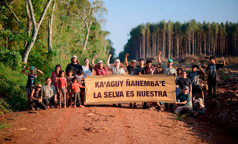 Comunidades guaraníes y ambientalistas reclaman contra multinacional forestal en Misiones