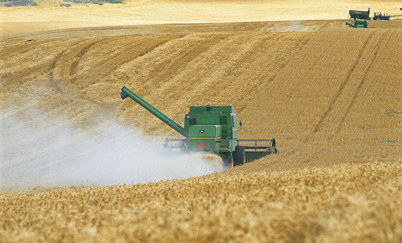 Las exportaciones del agro cayeron 33,4% interanual en septiembre