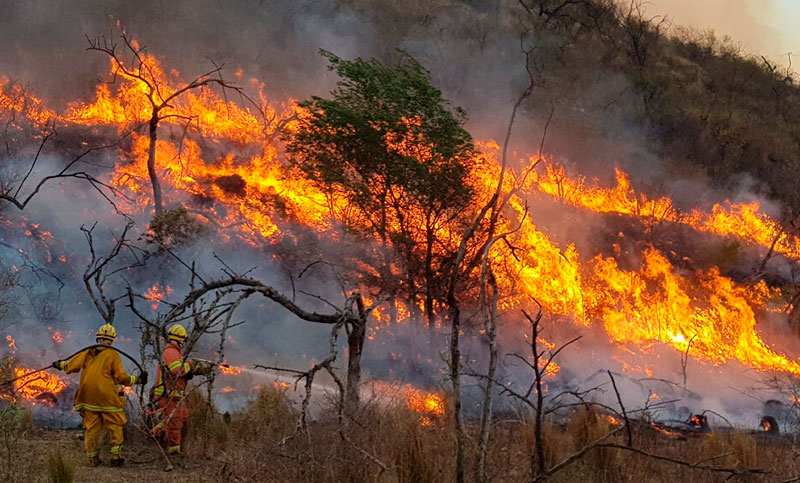 Incendios forestales afectan la zona del Valle de Punilla en Córdoba