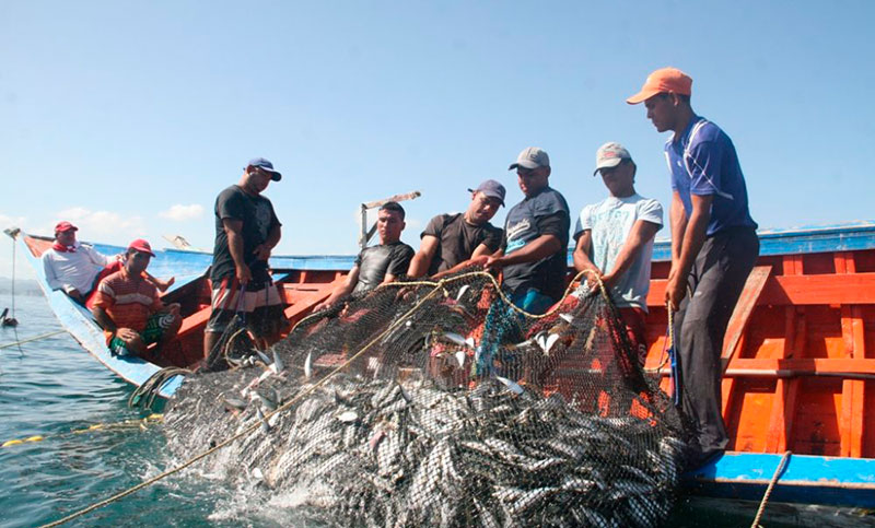 La producción pesquera cayó 19,7% interanual en agosto y acumula una baja de 9,8% en el año