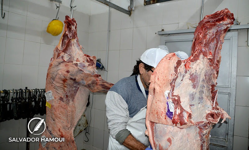 Día del carnicero: por qué se festeja el 19 de octubre el día de los trabajadores de la carne