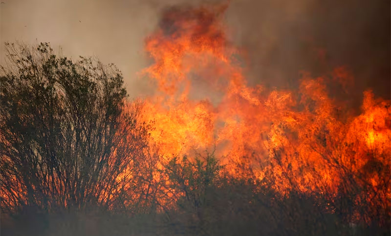 Controlan el incendio forestal en Córdoba: hay un detenido, acusado de iniciar el fuego