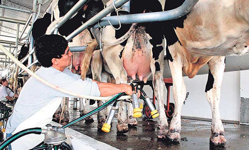 Oficializan la suspensión de retenciones para productos lácteos