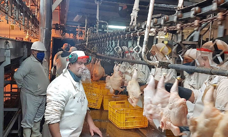 Trabajadores de la carne del sector avícola lograron un 71 % de aumento trimestral en sus salarios
