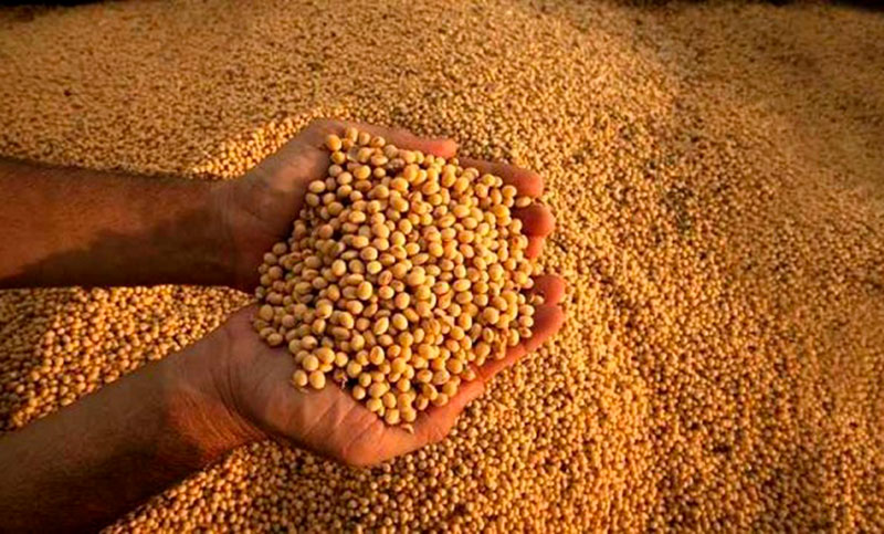 La comercialización de soja superó las 1,1 millones de toneladas en la última edición del «dólar exportador»