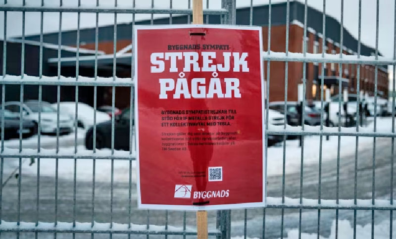Sindicato de Dinamarca anuncia medidas contra Tesla en solidaridad con huelguistas de Suecia