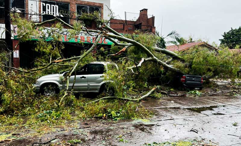 Peligro de tornado: ¿qué hay que hacer para mantenerse a salvo en esos casos?