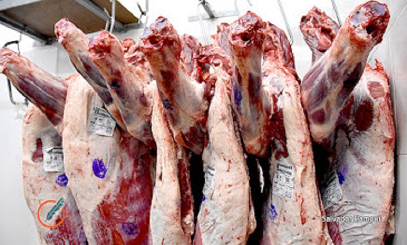 El Gobierno habilitó la exportación de todos los cortes de carne bovina
