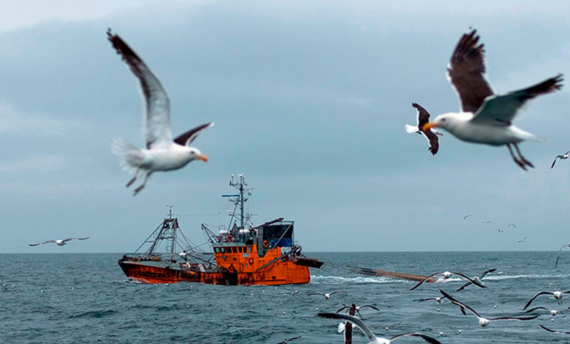Empresarios criticaron las modificaciones a la Ley de Pesca: «Son un gravísimo error»