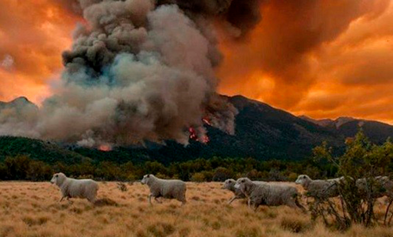 Se dificultan los medios aéreos para combatir el incendio en el Parque Nacional Los Alerces