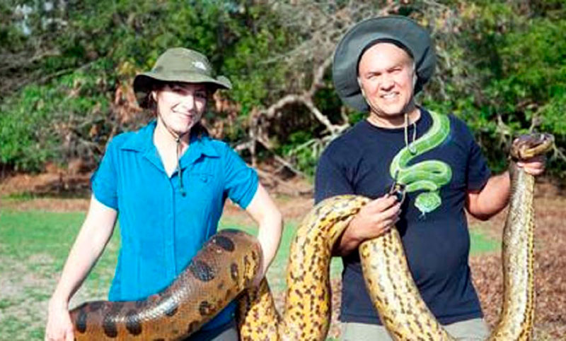 Encuentran la serpiente más grande y pesada del mundo en el Amazonas