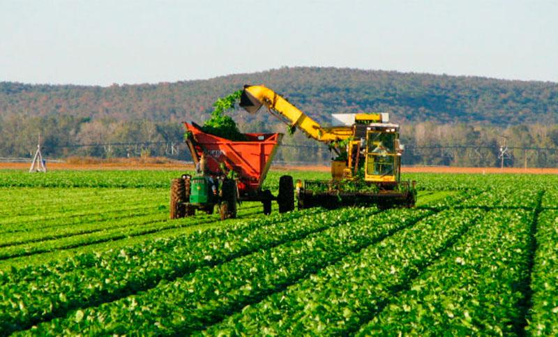 El sector agroindustrial exportó por US$3.299 millones en enero