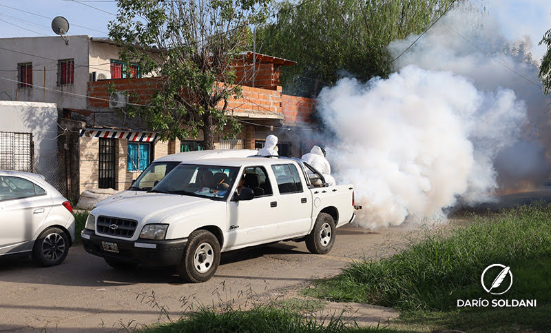 Mosquitos: continúan los operativos de fumigación en la ciudad