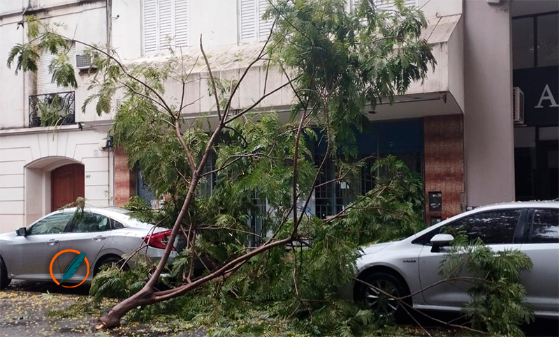 Calles inundadas y ramas caídas: el impacto de la tormenta en Rosario