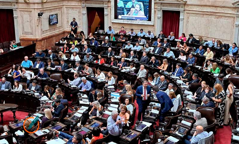Diputados aprobó los artículos de ley «Bases» sobre declaración de emergencia pública