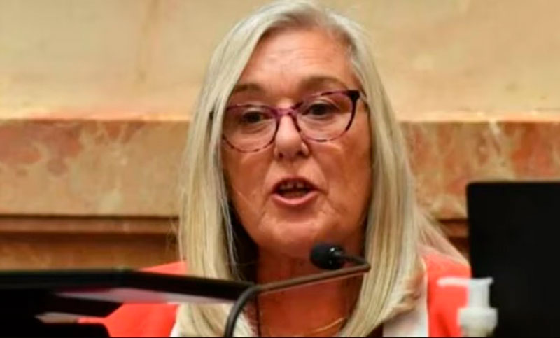 Senadora radical que votó en contra del DNU denunció que fue amenazada de muerte