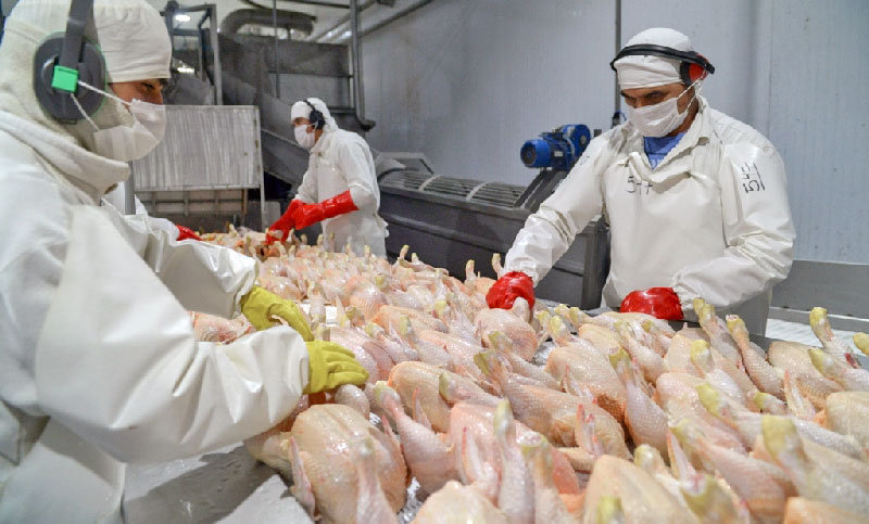 Los trabajadores avícolas logran un aumento salarial que lleva la paritaria 2023/24 al 313 %