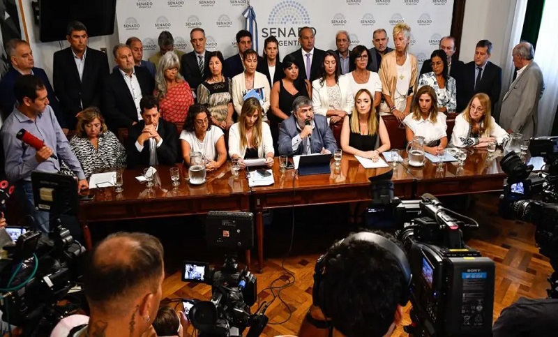 Senadores peronistas pidieron firmeza a los gobernadores para defender a la patria