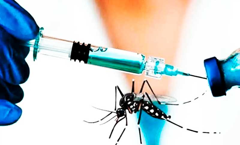 La provincia de Santa Fe confirma más de 25.000 casos de dengue y 12 fallecidos