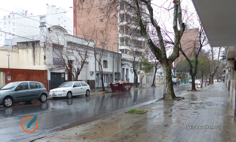Clima en Rosario: pronóstico de lloviznas y ráfagas de viento